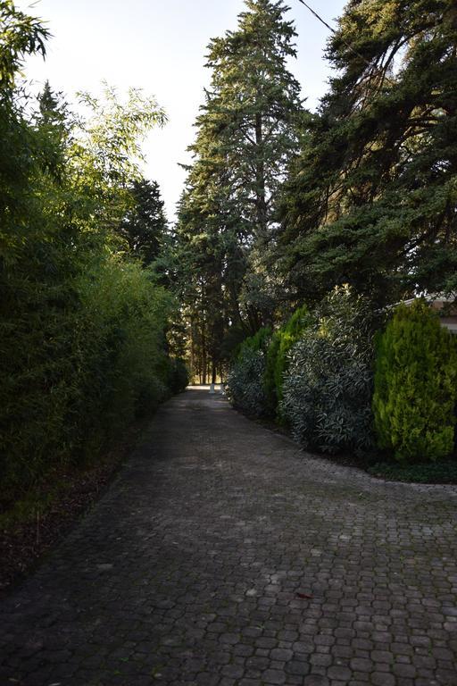 Hotel Il Boschetto Tolentino Exterior foto